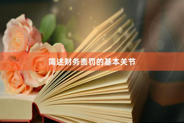 简述财务责罚的基本关节