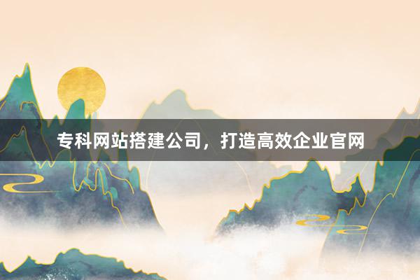 专科网站搭建公司，打造高效企业官网