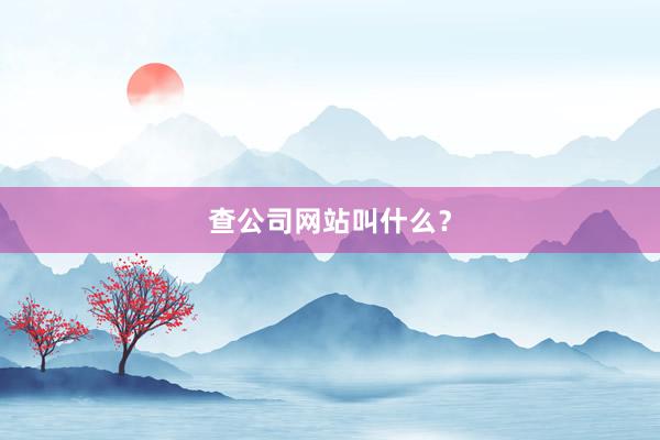 查公司网站叫什么？