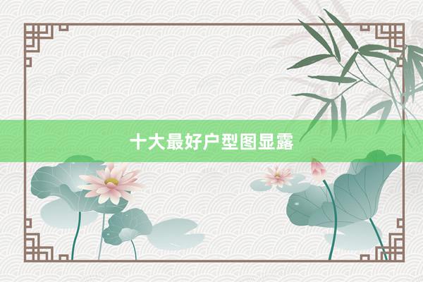 十大最好户型图显露