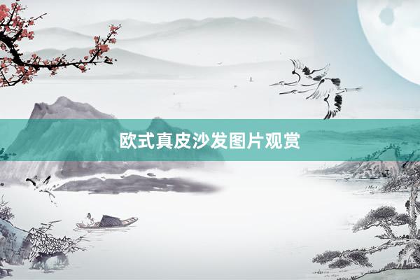 欧式真皮沙发图片观赏